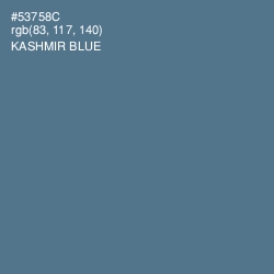 #53758C - Kashmir Blue Color Image